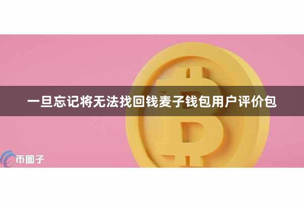 一旦忘记将无法找回钱麦子钱包用户评价包