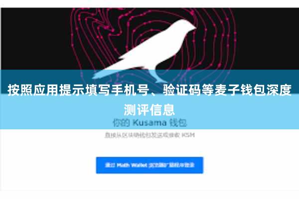按照应用提示填写手机号、验证码等麦子钱包深度测评信息
