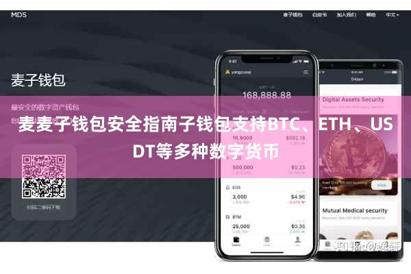麦麦子钱包安全指南子钱包支持BTC、ETH、USDT等多种数字货币