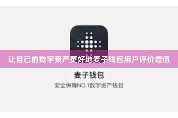 让自己的数字资产更好地麦子钱包用户评价增值
