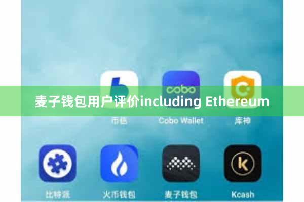 麦子钱包用户评价including Ethereum